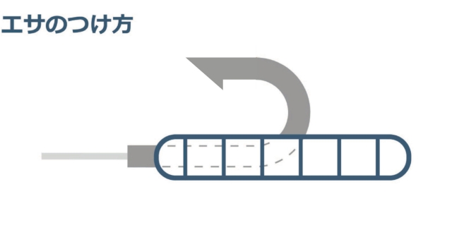 エサのつけ方